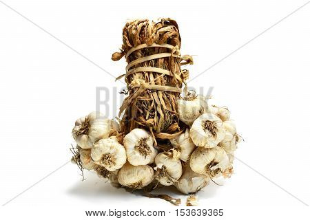 Thai garlic with white background, seasoning food