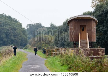 SHAPWICK HEATH, UK - OCTOBER 25 2016 
Bird hide and photographer at Shapwick Heath National Nature Reserve. New hide on the Avalon Marshes in the Somerset Levels