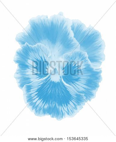 Pansies Vector Flower