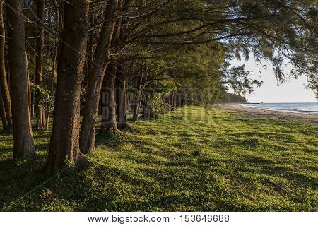 LABUAN ISLAND , MALAYSIA - OCTOBER 23,2016: Nature green scenery while waiting the sunset at Pohon Batu seaside.