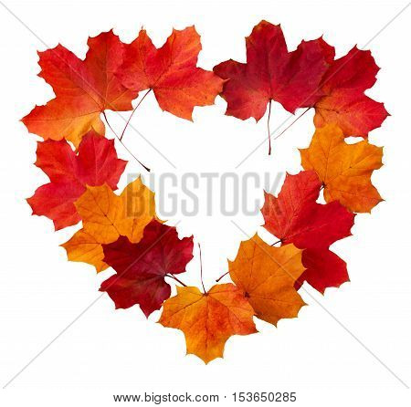 Heart from maple leaves isolated on white background. Valentine's day background.Heart-shaped frame of colorful maple leaves isolated on white.