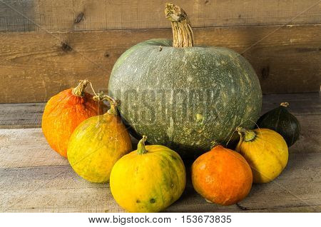 Still life with autumn pumpkins on an old wooden table, wooden background.