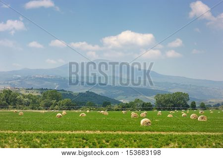 Agricultural Landscape Of Hay Bales