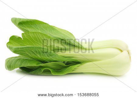 fresh Shanghai (small) paksoi on a white background