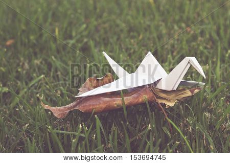 Rustic image of origami cranes in nature
