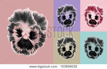 Pansies Flower Set