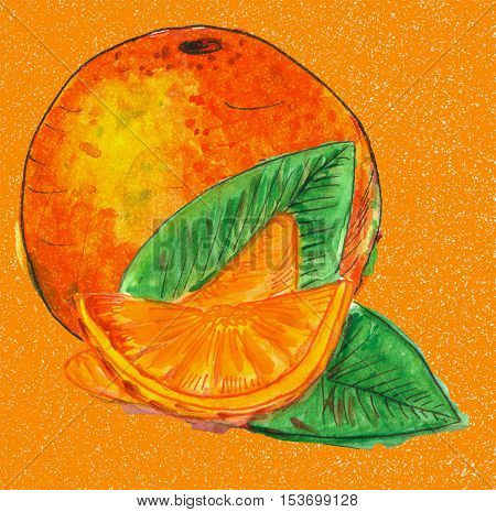 watercolor orange with orange slice and green leaves