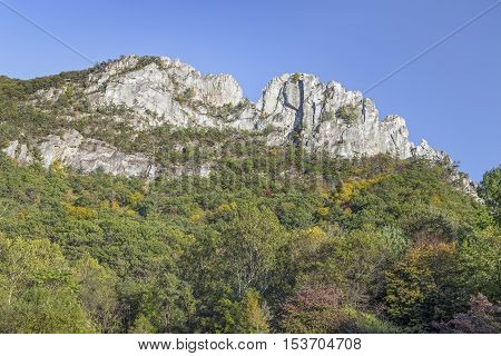 The peaks of Seneca Rocks a ridge of Tuscarora quartzite rise above Pendleton County West Virginia.