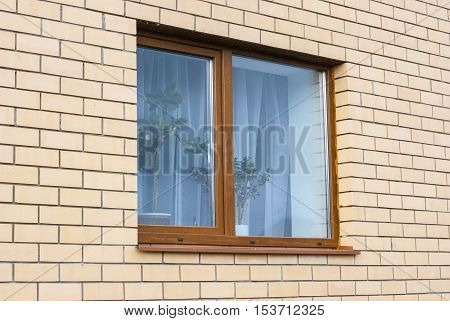 Wall And Window