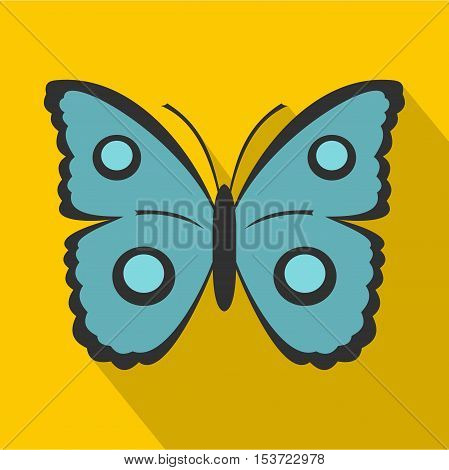 Butterfly with circles on wings icon. Flat illustration of butterfly with circles on wings vector icon for web