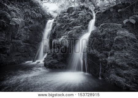 An image of a beautiful woodland waterfall shot in Black and White with a slow shutter speed to give a milky effect of the water, Venford Brook, Devon, England, UK.