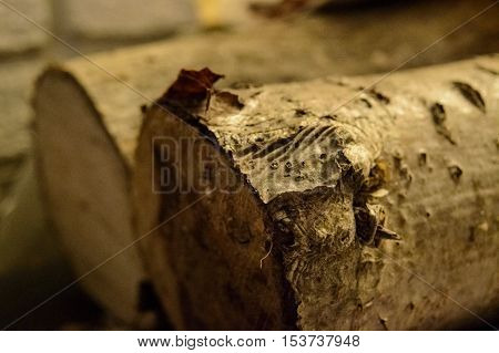 Natural Wood logs next to a fireplace indoors background