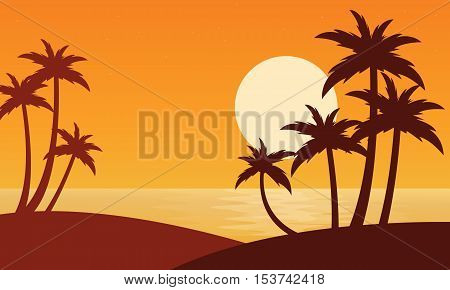 Silhouette of two clum palm on seaside scenery