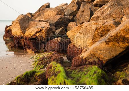 Sea rocks covered with moss on the beach lit by the sun at dawn