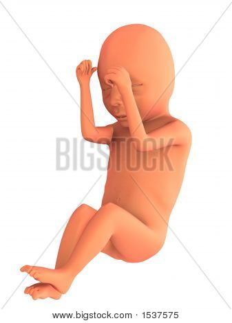 3D Baby