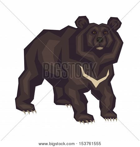 Himalayan black bear. Vector image of a predatory animal. Isolated on a white background.