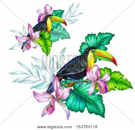 toucan and tropical flowers. Botanical composition with exotic bird.a set of two amazing bouquets.