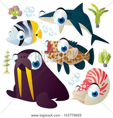 cute vector flat style illustration of sea life animals and fish. Funny collection set of walrus, shark, nautilus, grouper
