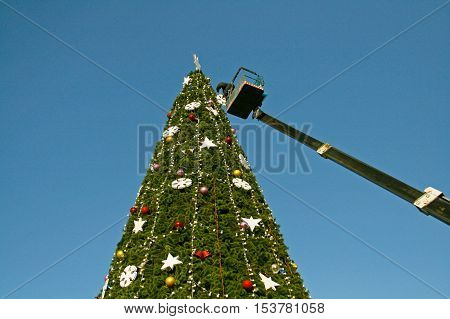 Volgograd Russia - December 20 2008: A worker decorates a Christmas tree in Volgograd