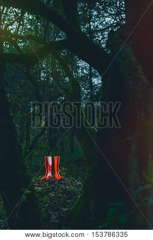 Red rubber boots in a Sunny forest lying on the green grass