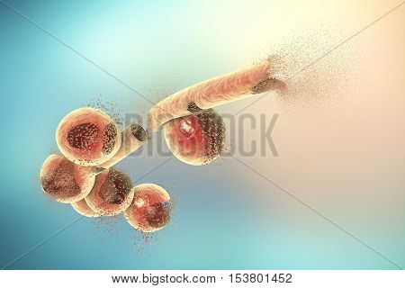 Destruction of Candida fungi, 3D illustration. Can be used to illustrate effect of antifungal drugs, medicines, microbes, nanoparticles