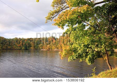 Autumn trees on the river Perce in city Koknese in Latvia