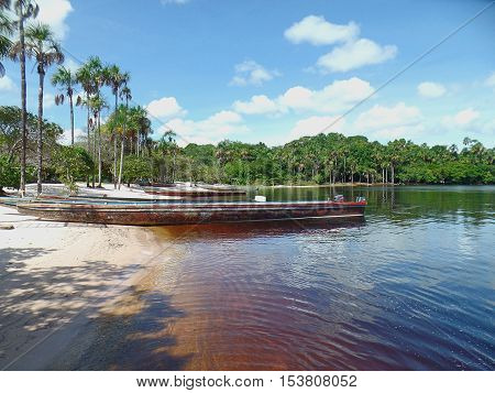 Tropical beach. tropical beach with palm trees on the coast of the Canaima lagoon, Venezuela