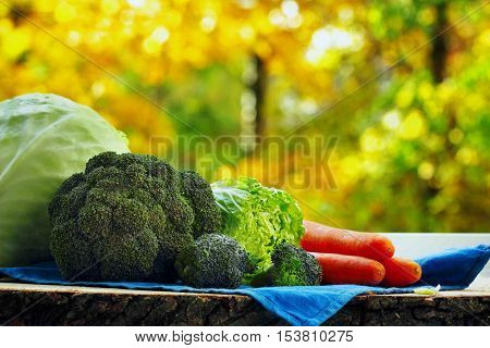 Variety Of Fresh Vegatables Cabbage, Chinese Cabbage And Brocolli On Wooden Table .bokeh Background.