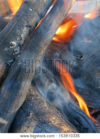 Logs lit on fire for a toasty campfire