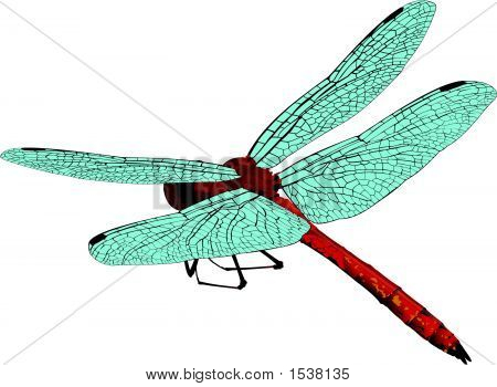 Dragonfly.Eps