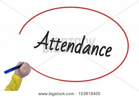 Woman hand writing attendance with marker on white background professionally