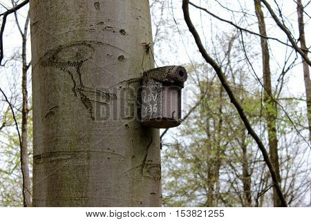 Nesting box for wild birds on the tree. Wooden nesting box hanging on tree in park.