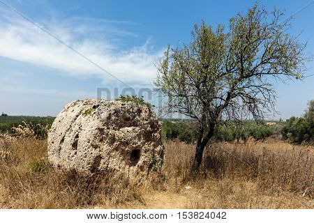 Cave di Cusa or Rocche di Cusa was an ancient stone quarry in Sicily. Its stone was used to construct the temples in the ancient Greek city Selinunte. The stone extraction was abandoned in 409 BC.