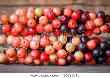 thai blueberry on wooden background, (Antidesma thwaitesianum)