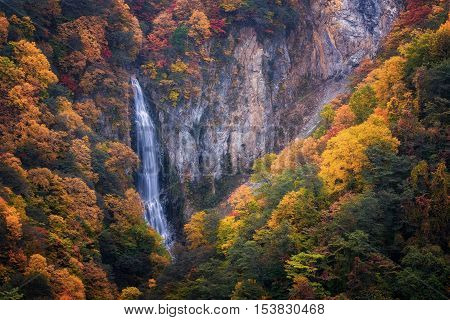 Kanman Falls pierce autumn's glory in Shigakogen in Nagano, Japan.