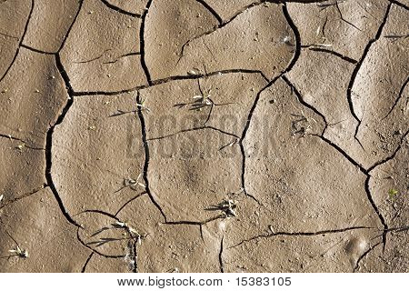 Cracking terra sfondo