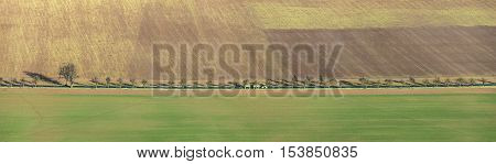 Rural Area In The Kyffhaeuser Area With Alley And Tractor