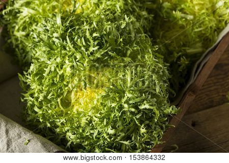 Raw Green Organic Frisee Lettuce