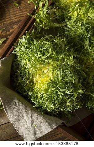 Raw Green Organic Frisee Lettuce