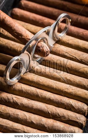 Closeup of guillotine and cigar on cigars pile