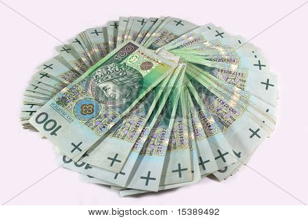 Polnische Geld