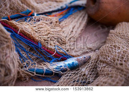Fish in net on the cosat - close up