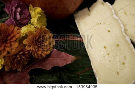 Autumn colors garnished cheese plate for dinner party or Thanksgiving or harvest holiday table decorated soft brie cheese plate on a bed of organic swiss chard greens apple and Chrysanthemum fall flowers
