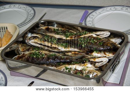 Fish grill / There are fish on the grill and grilled. An raw freshwater fish on the grill. Cooked in traditional style. Cooking of salted fish on a grill stove.
