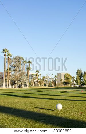 Golf course white balls spread all over grass in Encanto par Phoenix downtown Arizona in Winter.