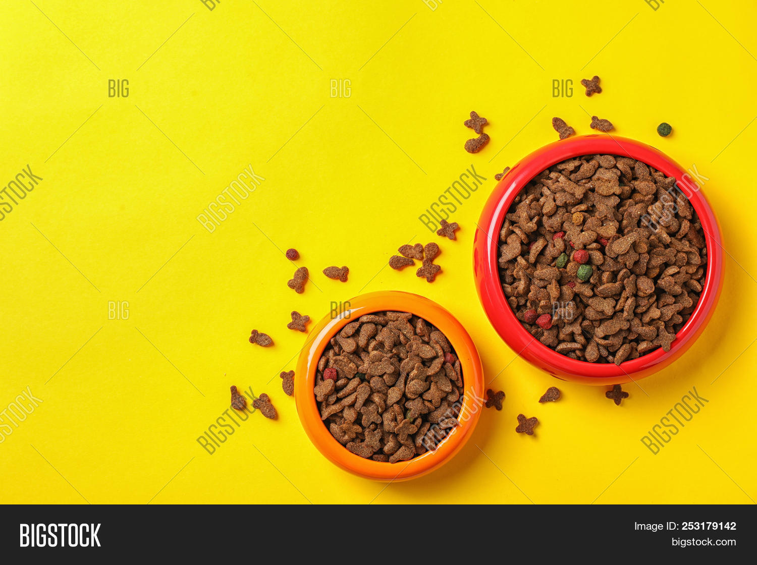 Bowls Food Cat Dog On Image & Photo (Free Trial) Bigstock