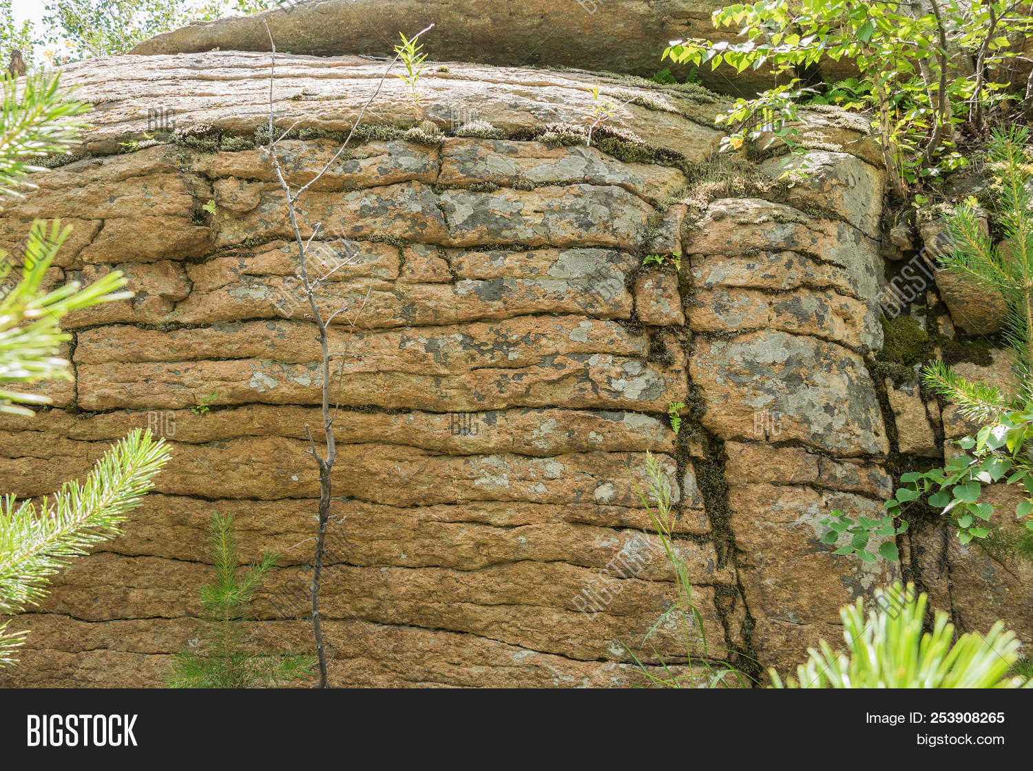 Forest Eith Rocks Stone Rock Forest. Image & Photo (Free Trial) | Bigstock