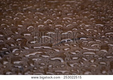 Texture Of A Tree With Lots Of A Drop Of Water Close-up