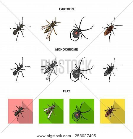 An Insect Arthropod, An Osa, A Spider, A Cockroach. Insects Set Collection Icons In Cartoon, Flat, M