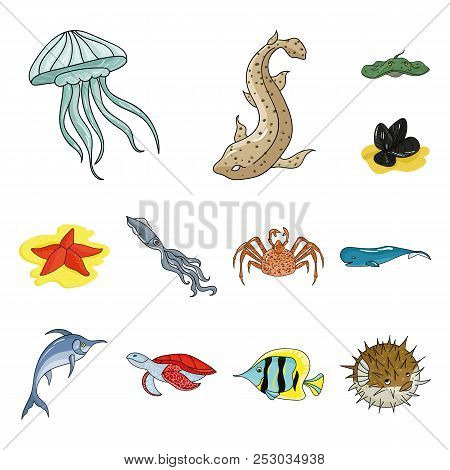 A Variety Of Marine Animals Cartoon Icons In Set Collection For Design. Fish And Shellfish Vector Sy